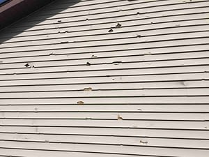 Professional Hail damage roof repair service in Grand Rapid, MI